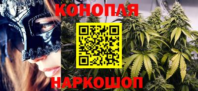 apvp Гай