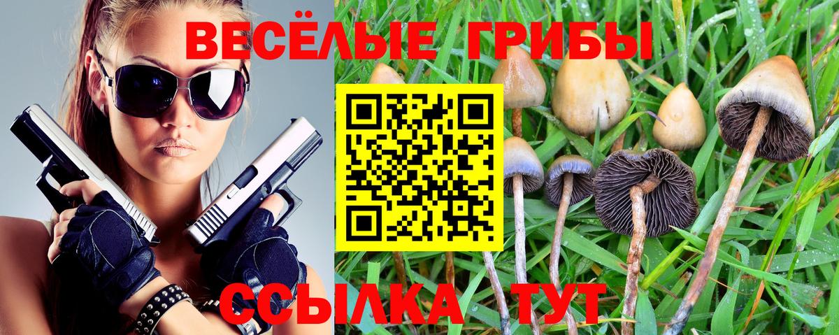 Сатка  Галлюциногенные грибы Psilocybe  купить   Вход с VPN 