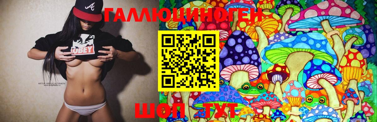 Галлюциногенные грибы GOLDEN TEACHER Сатка